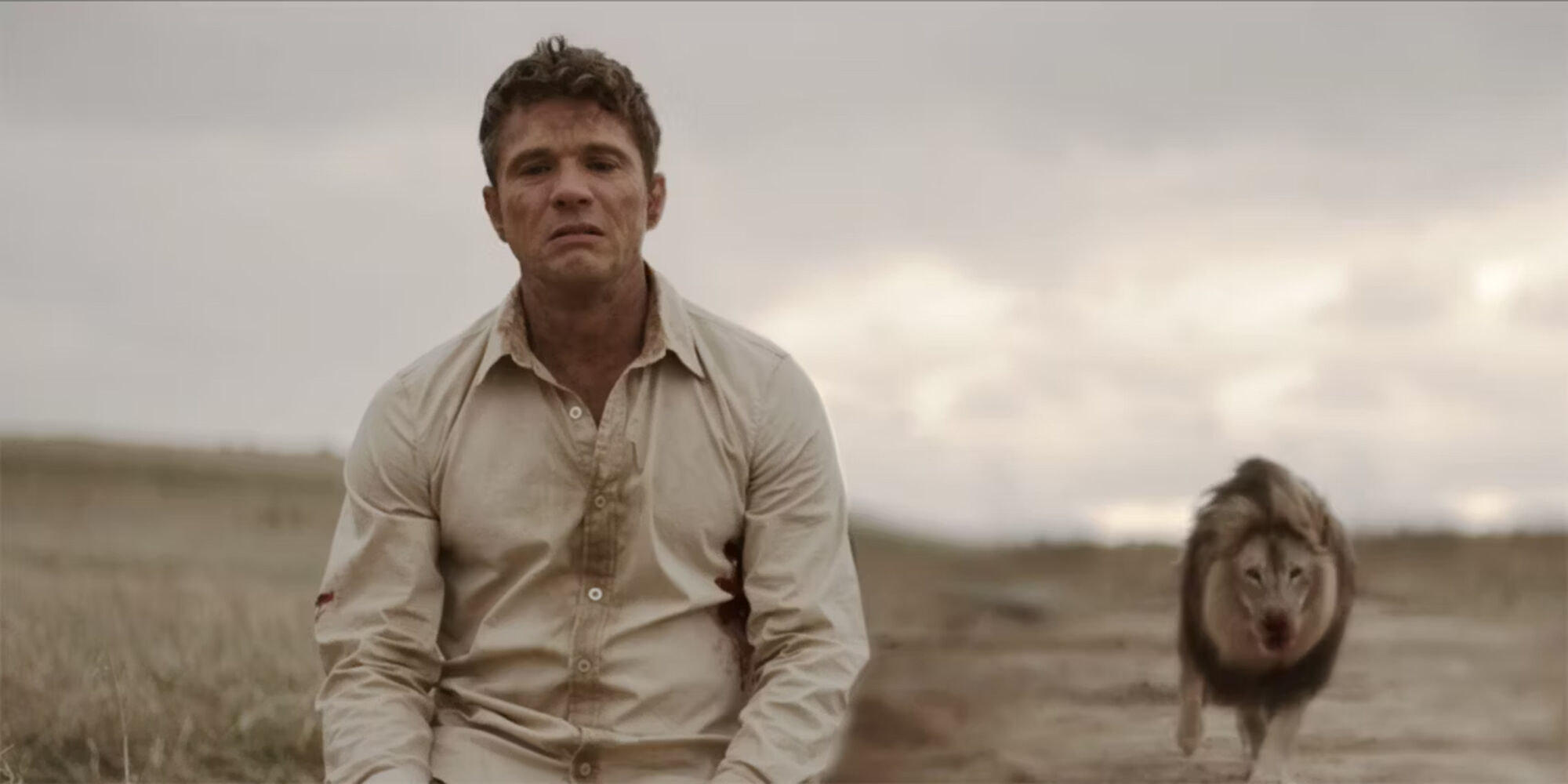 Scene Image 2