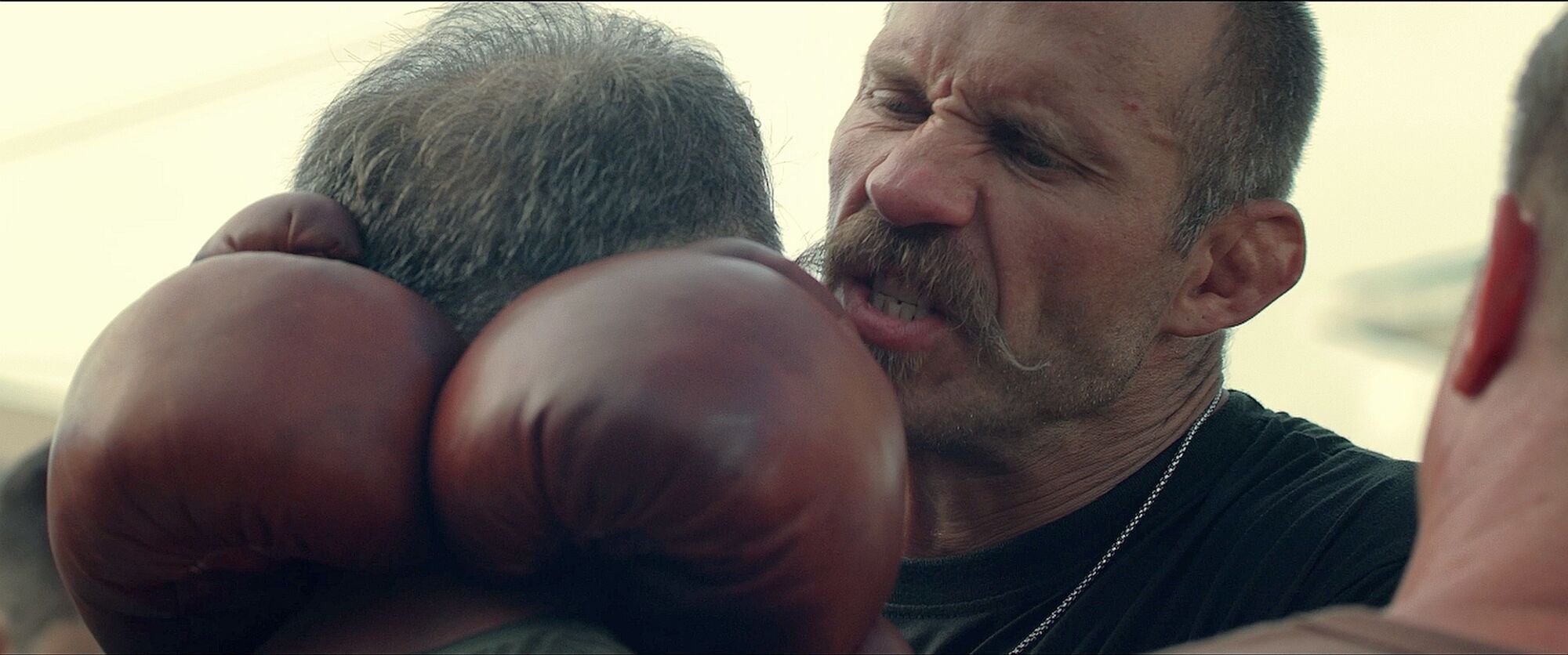 Scene Image 2