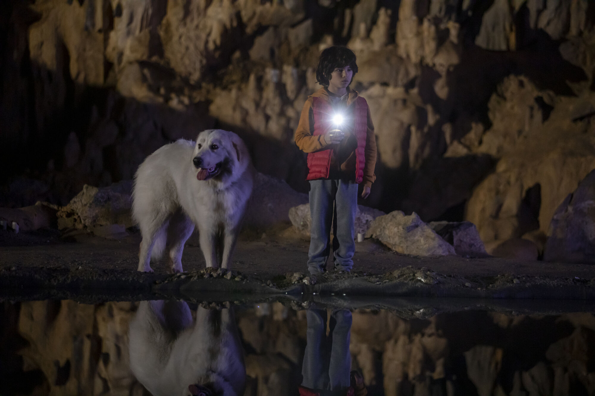 Scene Image 6