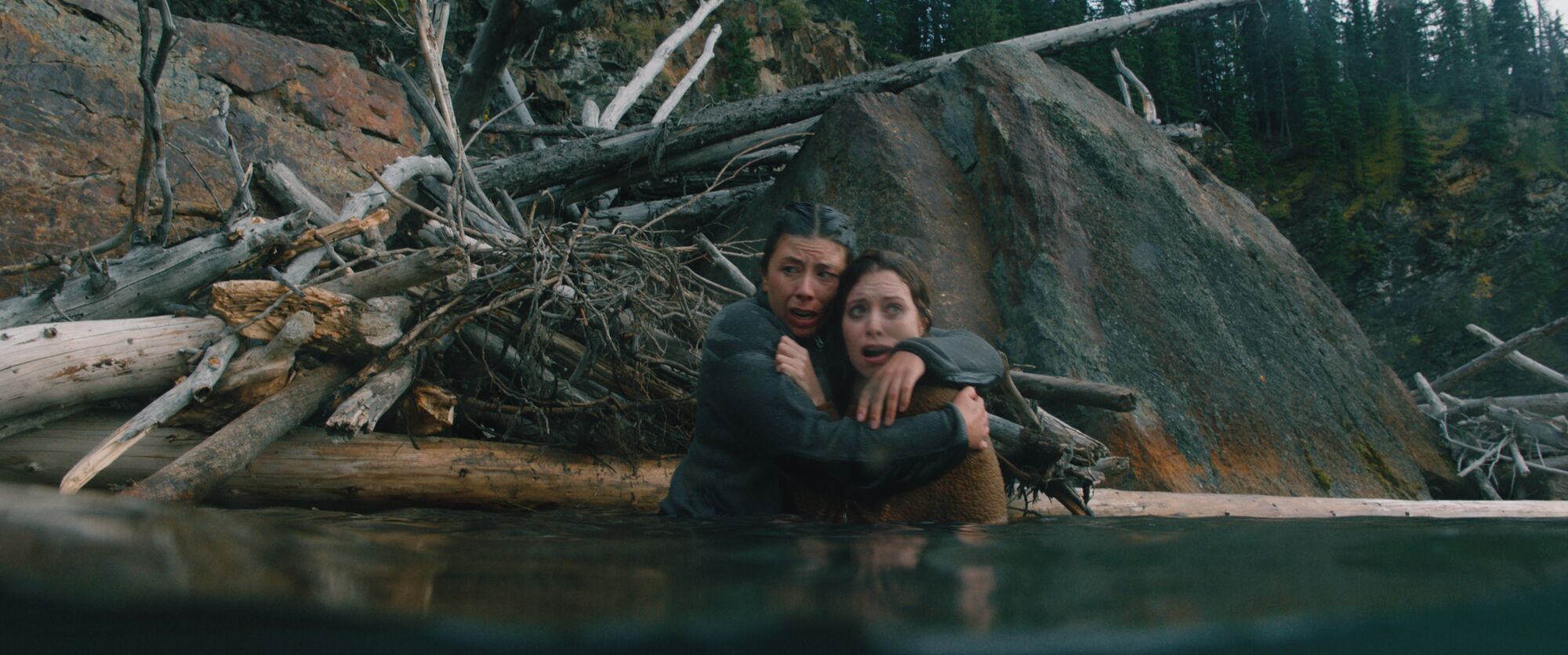 Scene Image 3