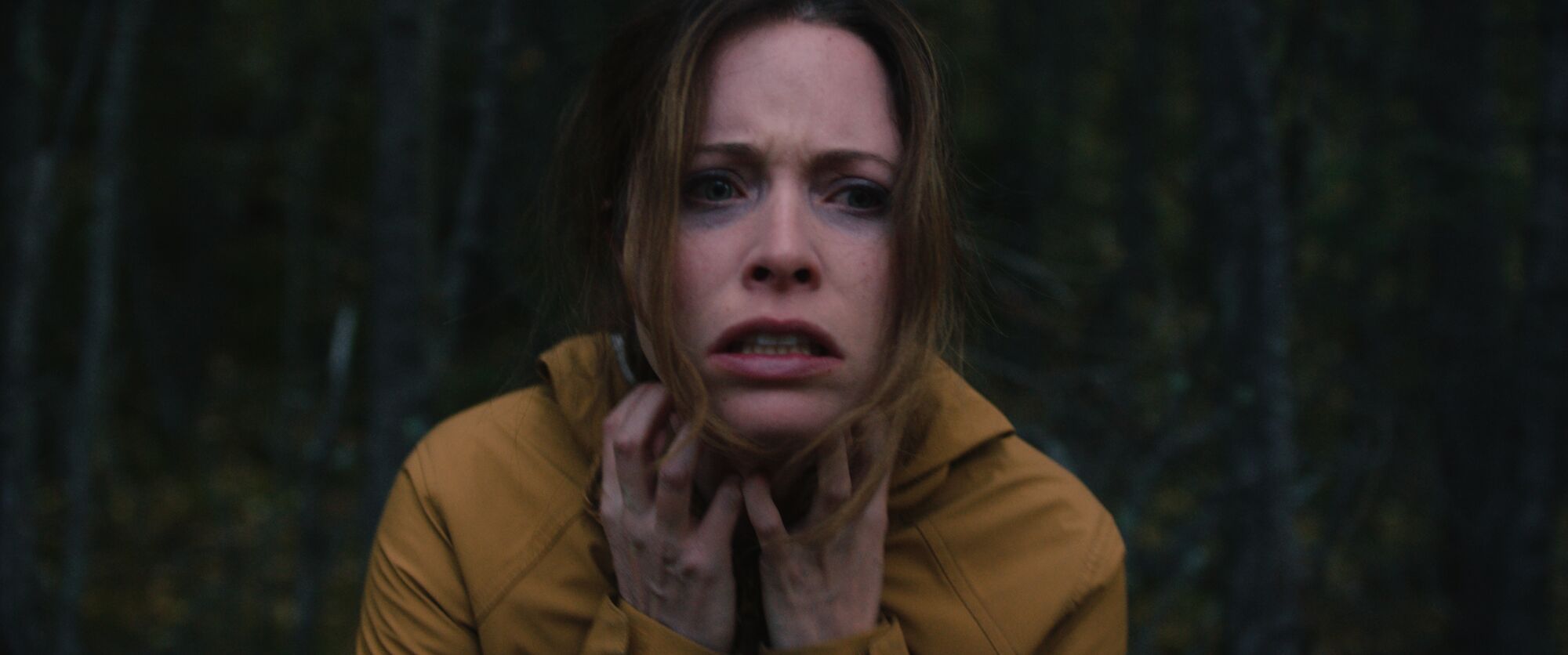 Scene Image 6