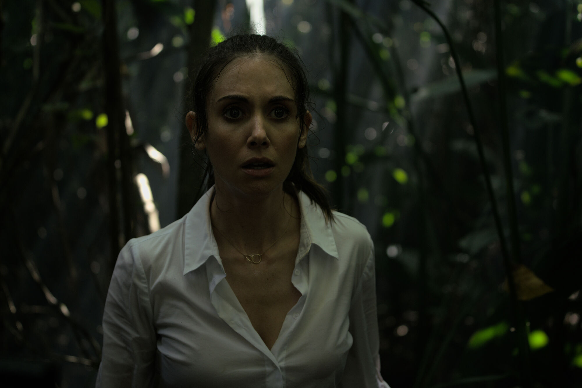 Scene Image 4