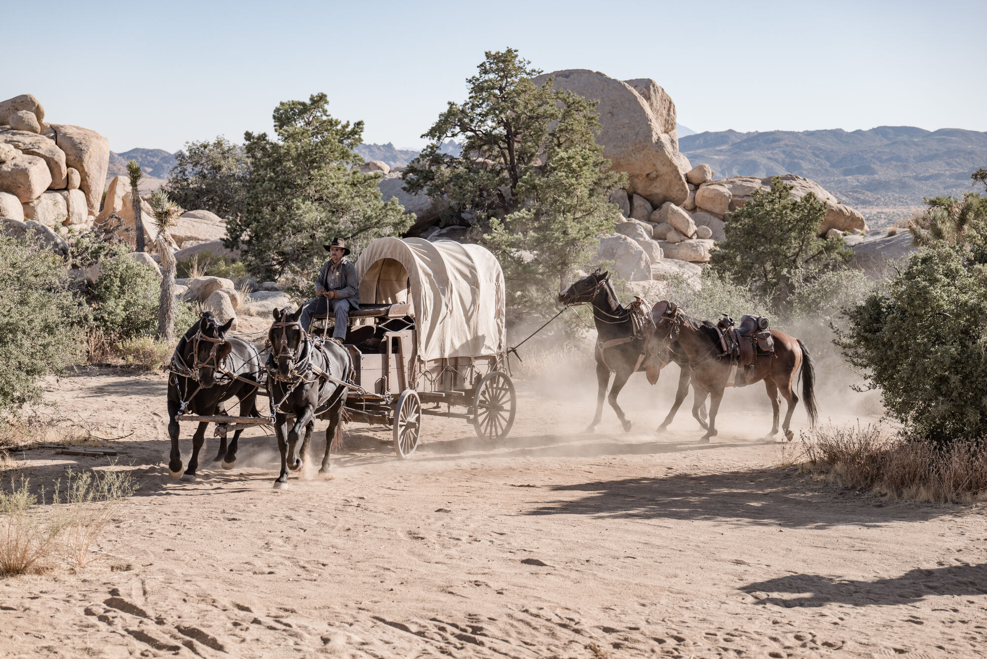 Scene Image 6