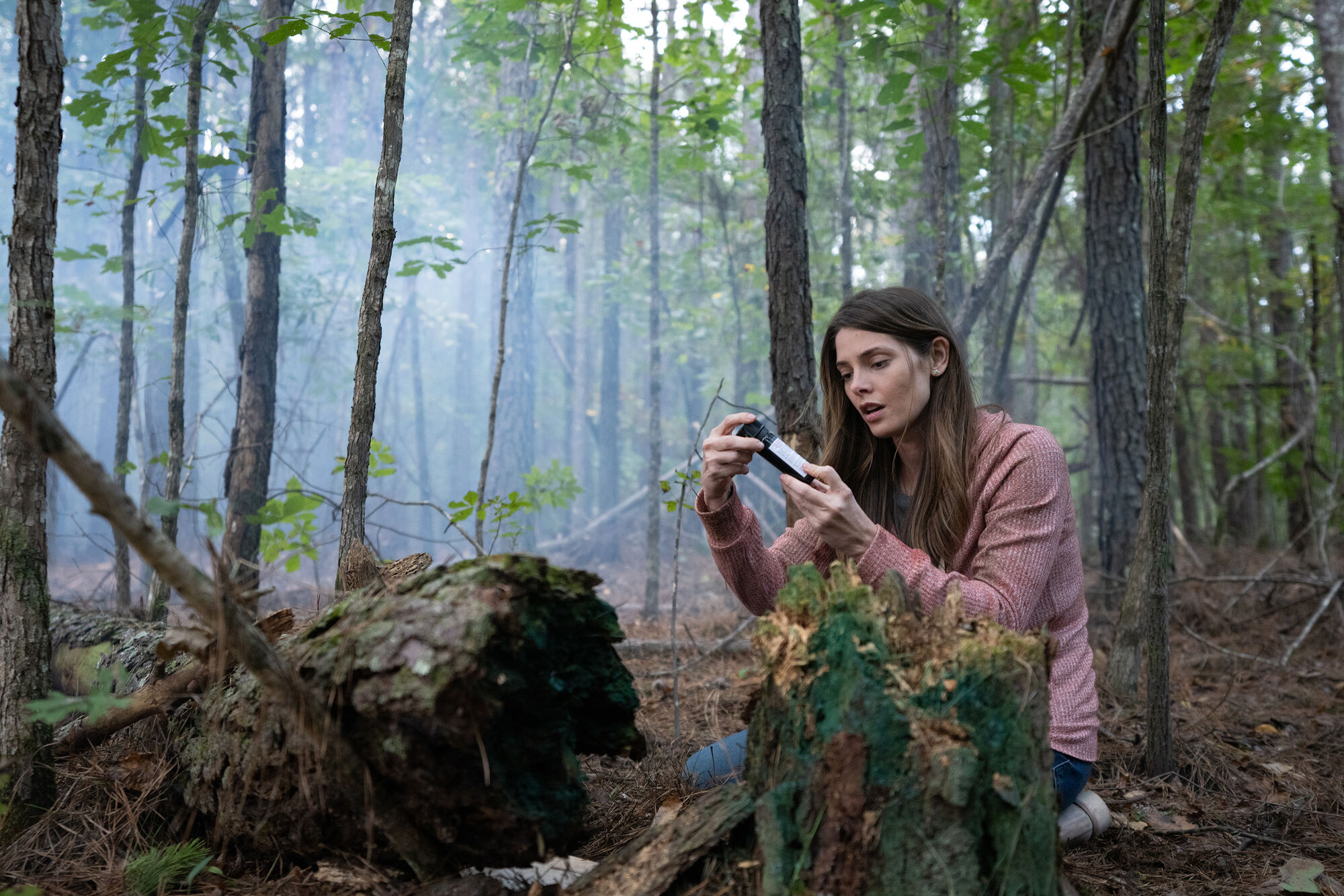 Scene Image 8