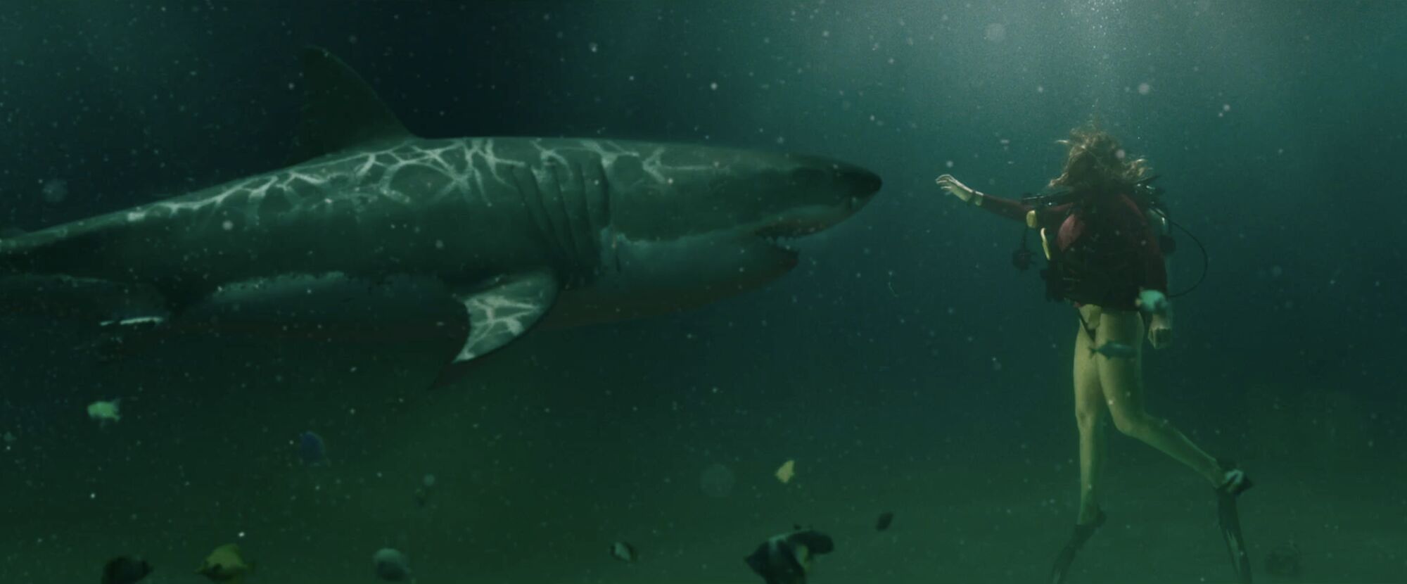 Scene Image 1