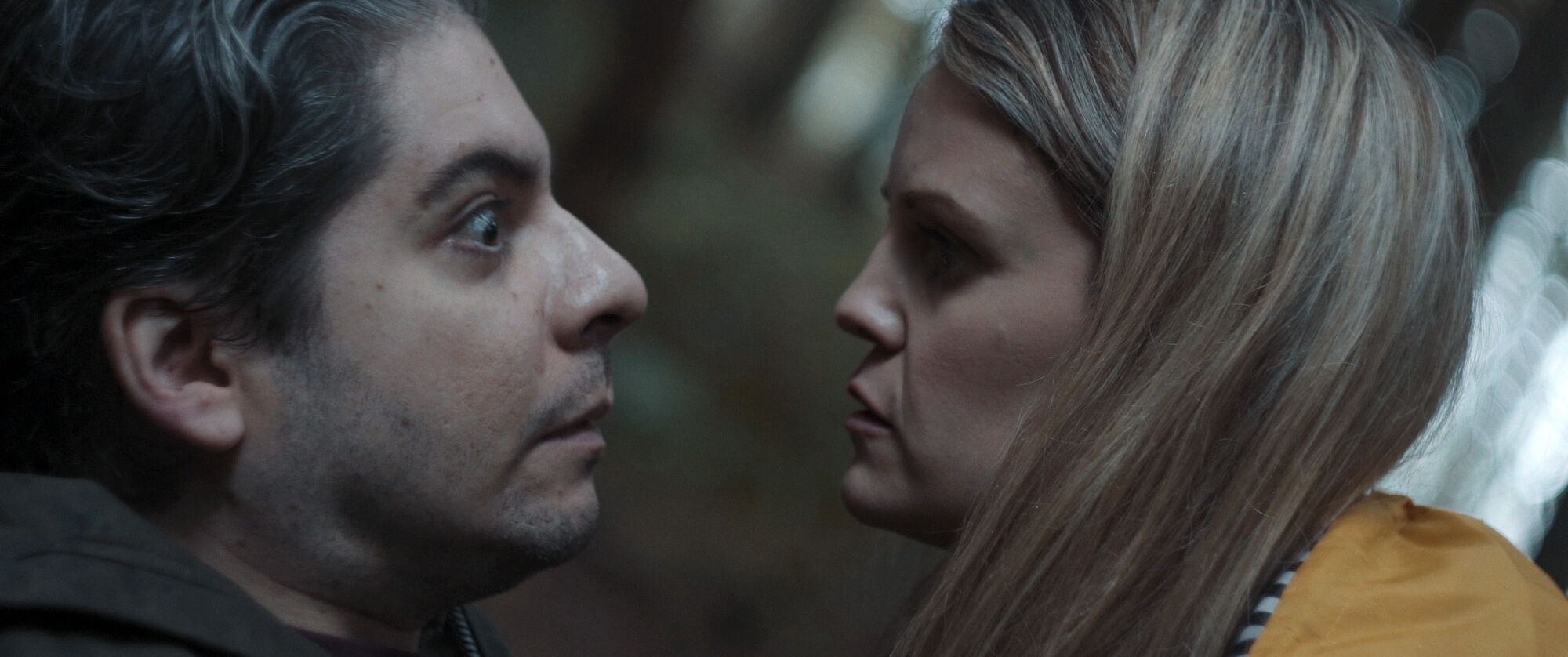 Scene Image 4