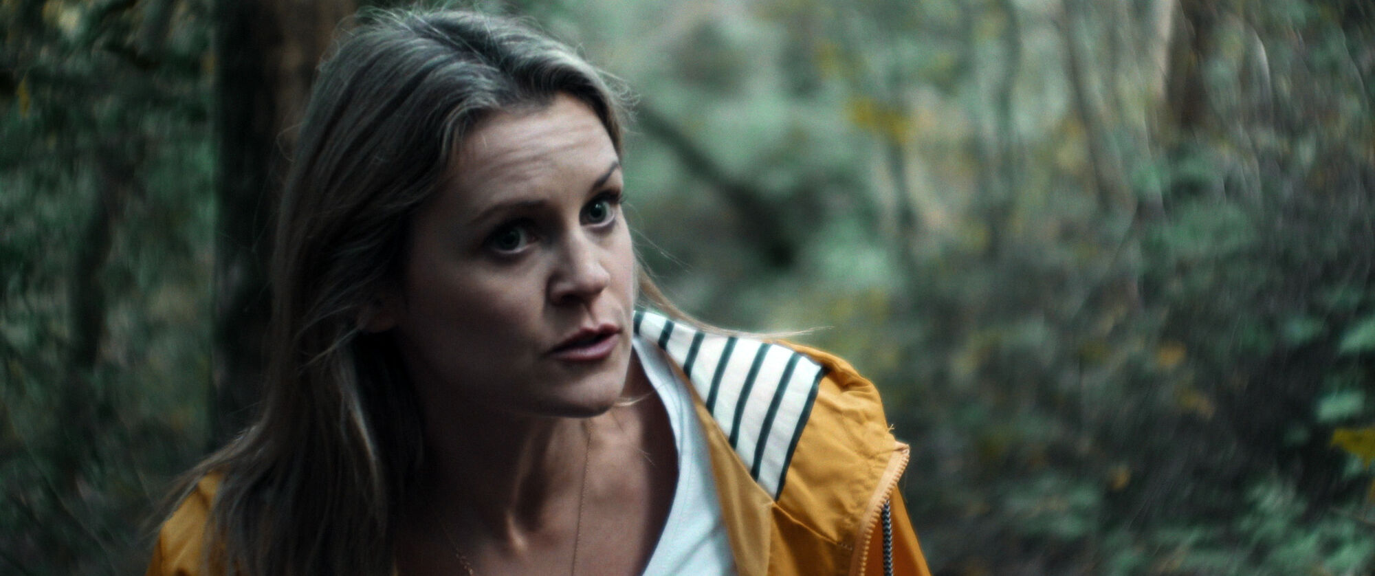 Scene Image 7