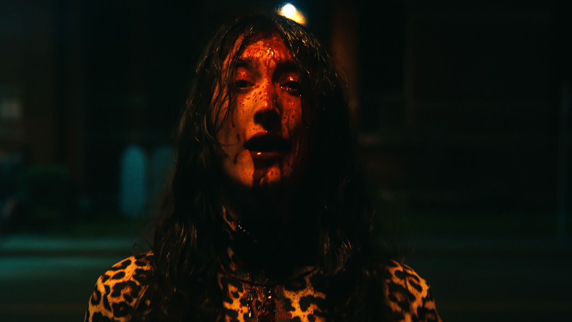 Scene Image 6