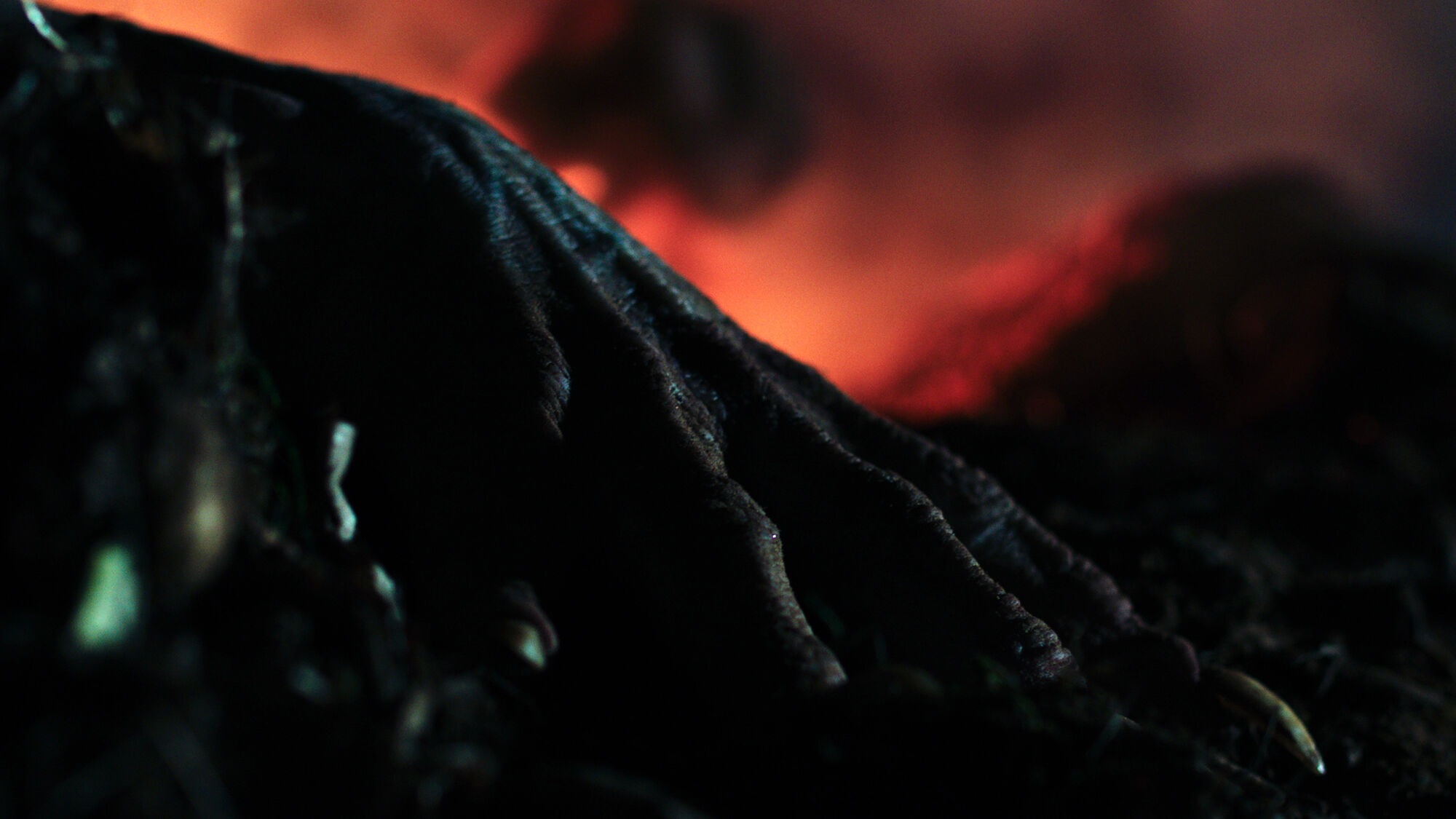 Scene Image 6