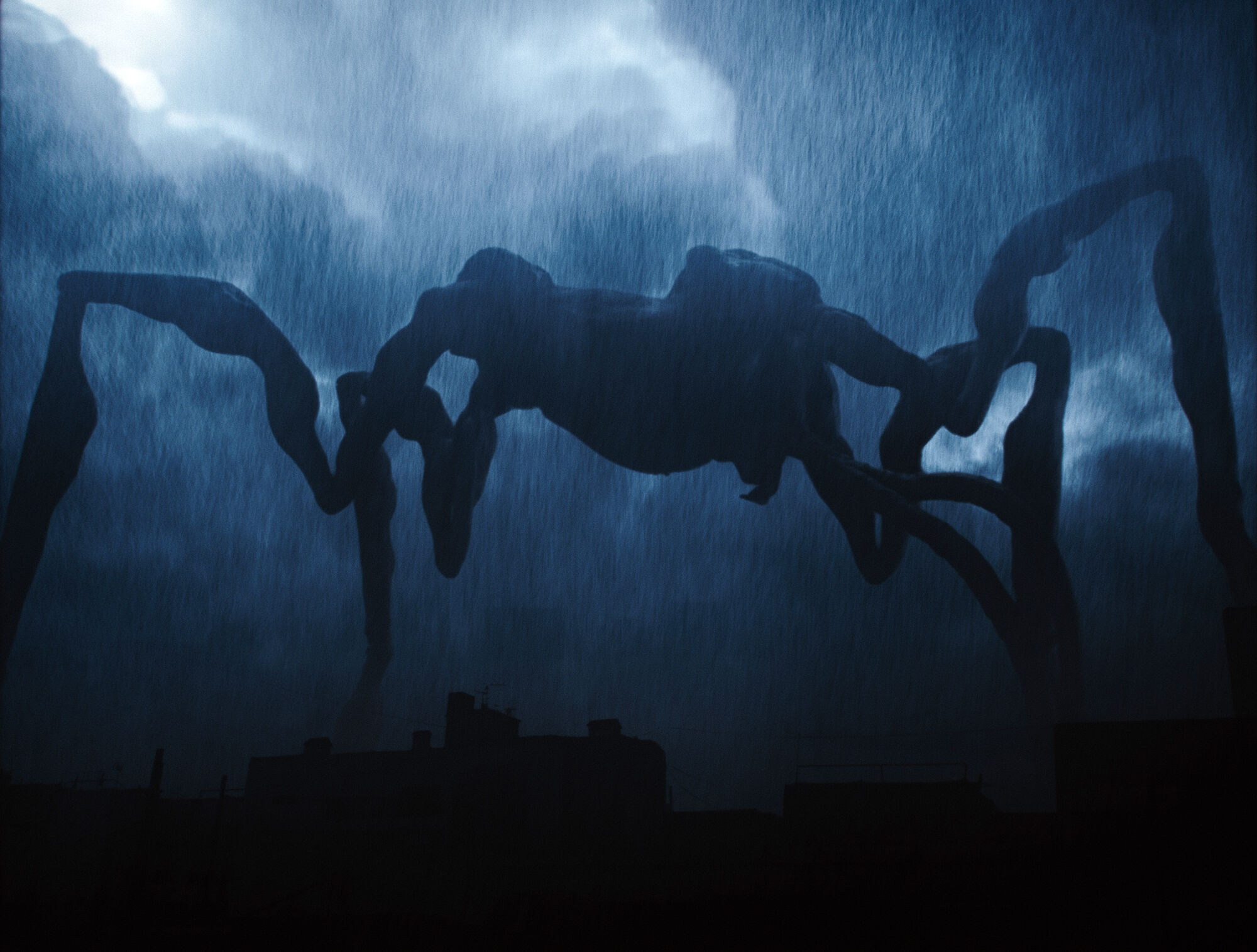 Scene Image 3