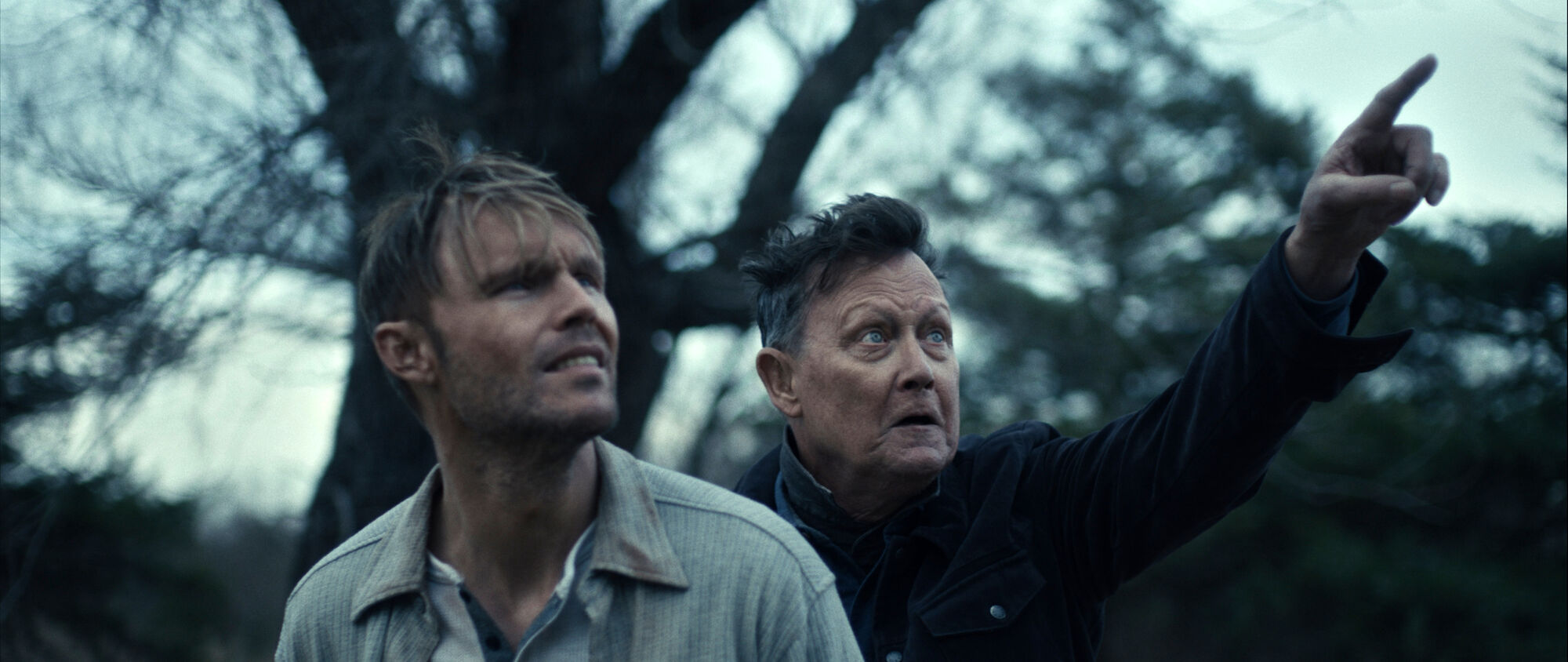 Scene Image 3