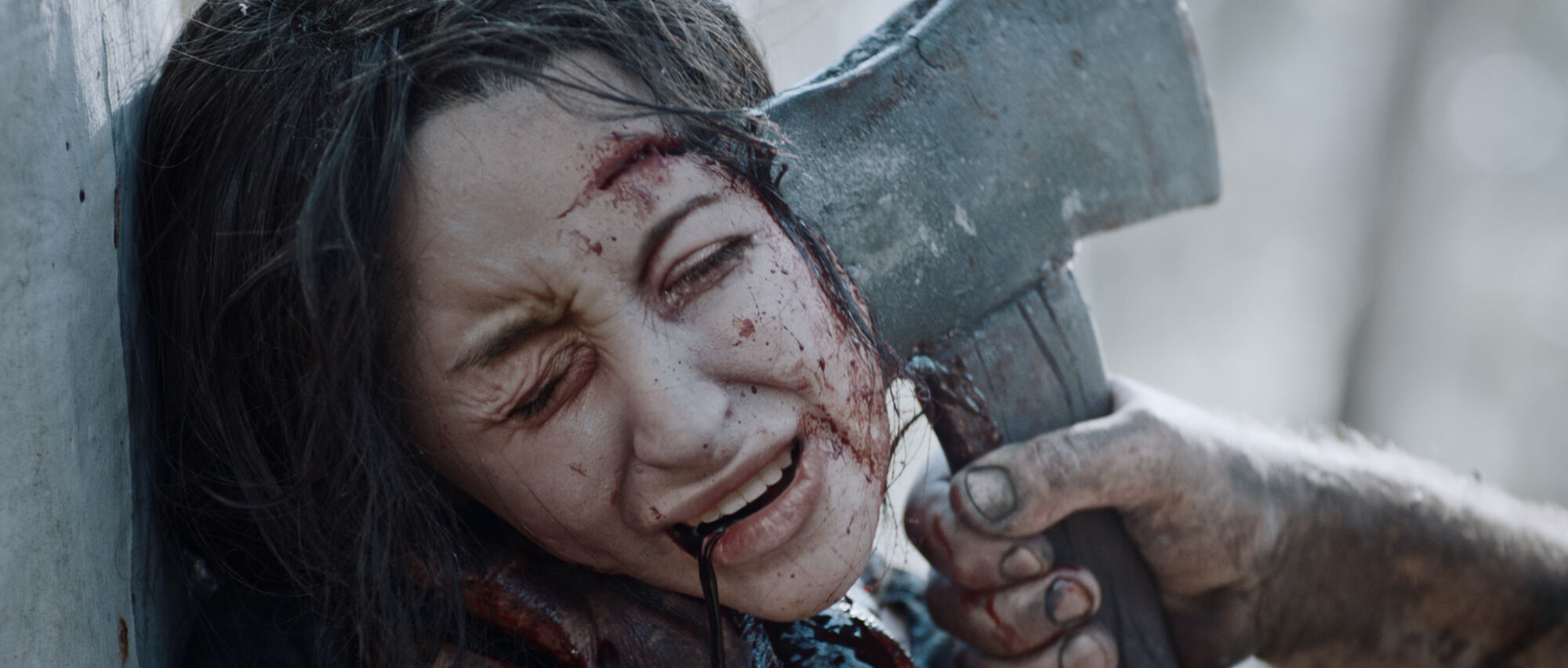 Scene Image 5