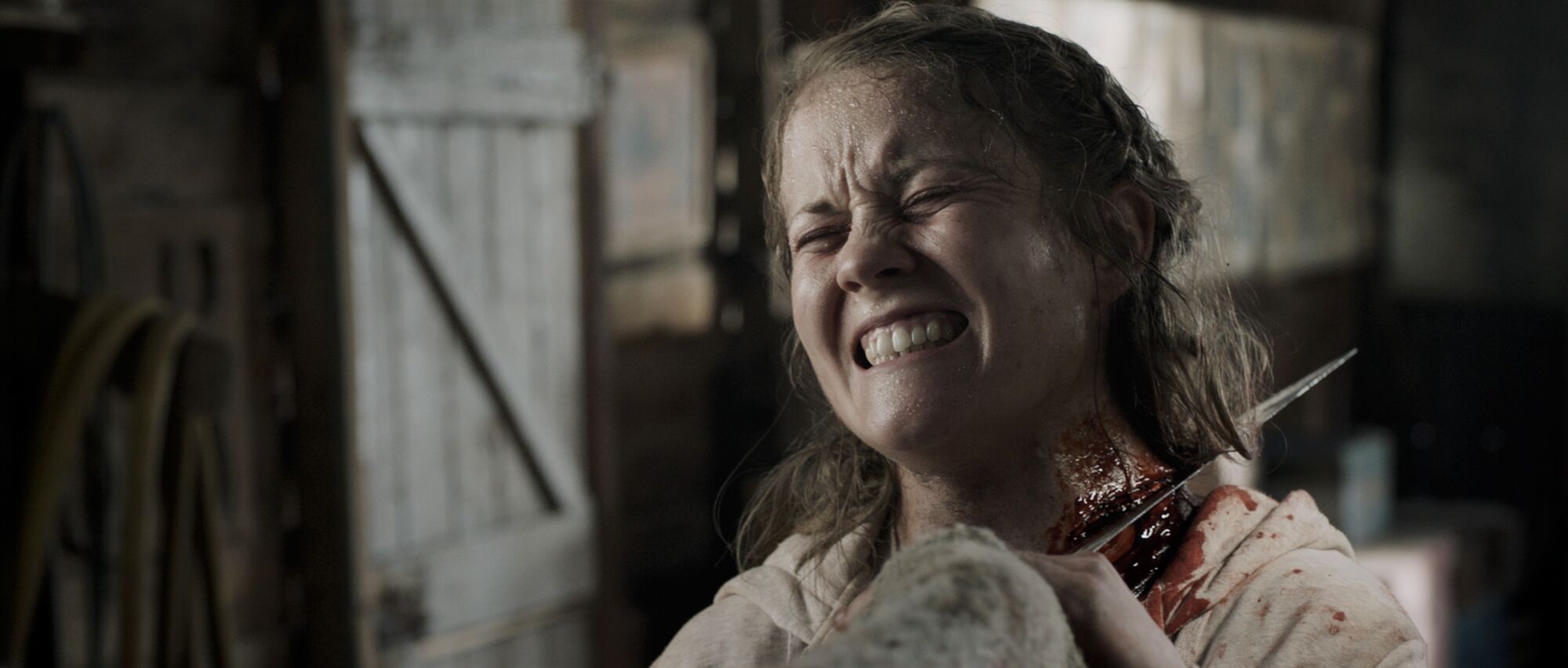 Scene Image 7