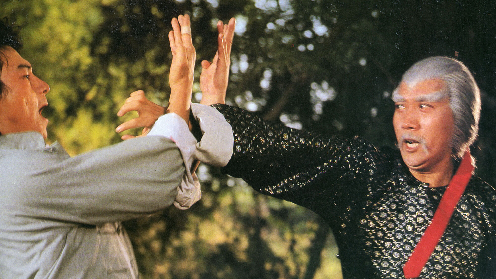 Scene Image 1