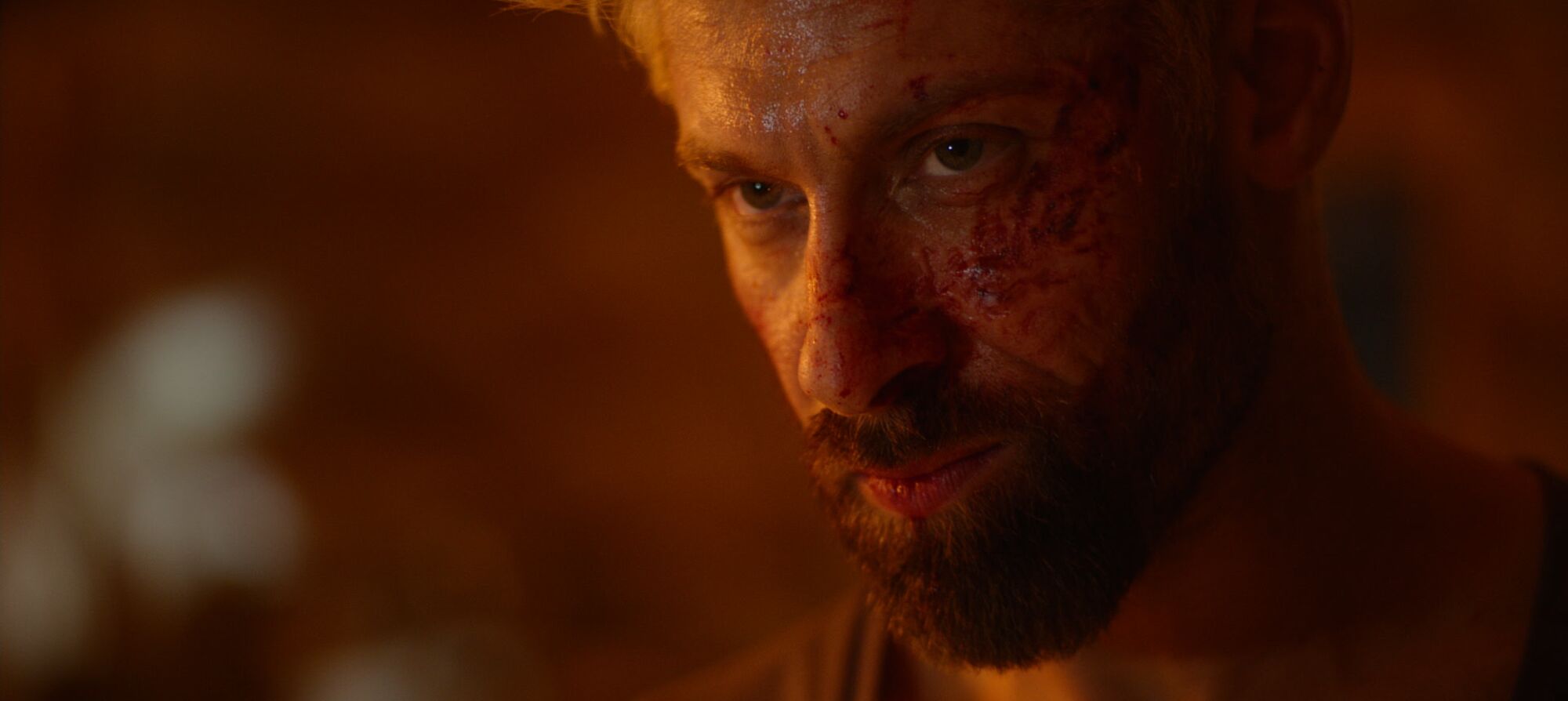 Scene Image 1